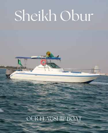 Sheikh Obur